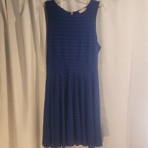 Altar'd State Royal Blue Textured Mini Dress